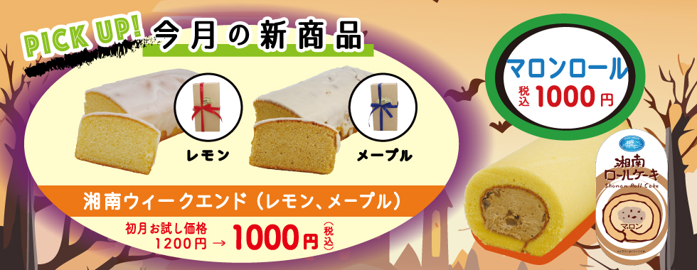 お買い得商品